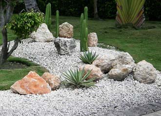 Planing Cactus Garden Info, Cactus Rock Garden Ideas